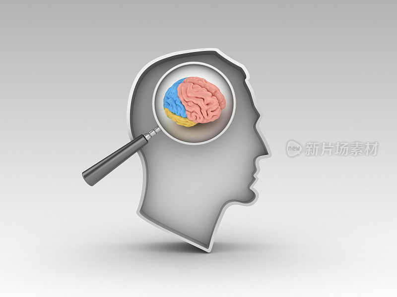 人的头与放大镜和大脑- 3D渲染